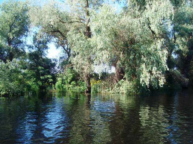 Doar ... NATURA  - 2 - sany0808.JPG